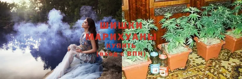 hydra сайт  Мезень  Марихуана SATIVA & INDICA 